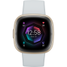Google Fitbit Sense 2 - Blue Mist/Soft Gold Aluminum EU