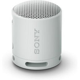 Sony SRS-XB100 Bluetooth...