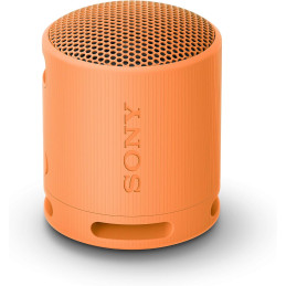 Sony SRS-XB100 Bluetooth...