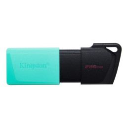 Kingston (DTXM/256GB) Pen...