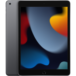 Apple iPad 10.2" 9ª Generazione (2021) WiFi 256GB - Space Gray EU